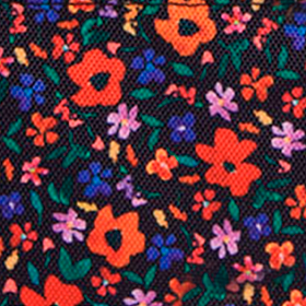 Pochette avant XS Indiana State Museum