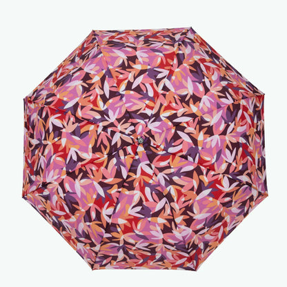 Parapluie Montreuil